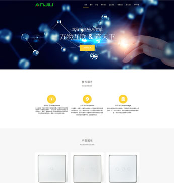 大連安玖安防技術有限公司