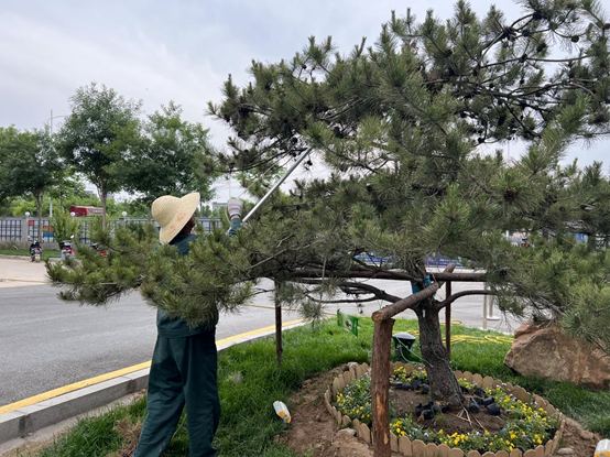 走進(jìn)園區(qū)，感受夏日炎炎里的“理想之城”！
